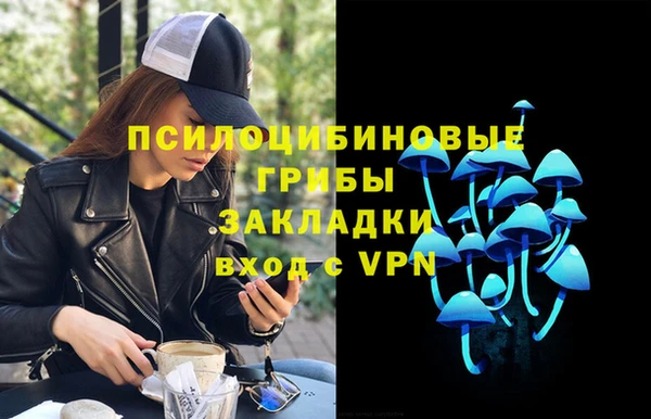 ECSTASY Щигры