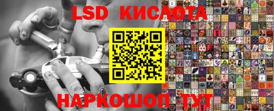 стафф Заводоуковск