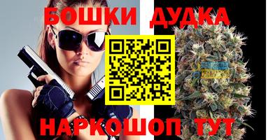 стафф Заводоуковск
