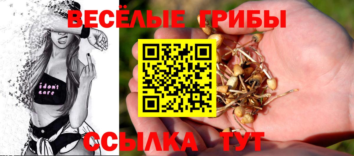 Псилоцибиновые грибы MAGIC MUSHROOMS  наркошоп  Азов  Вход с VPN 